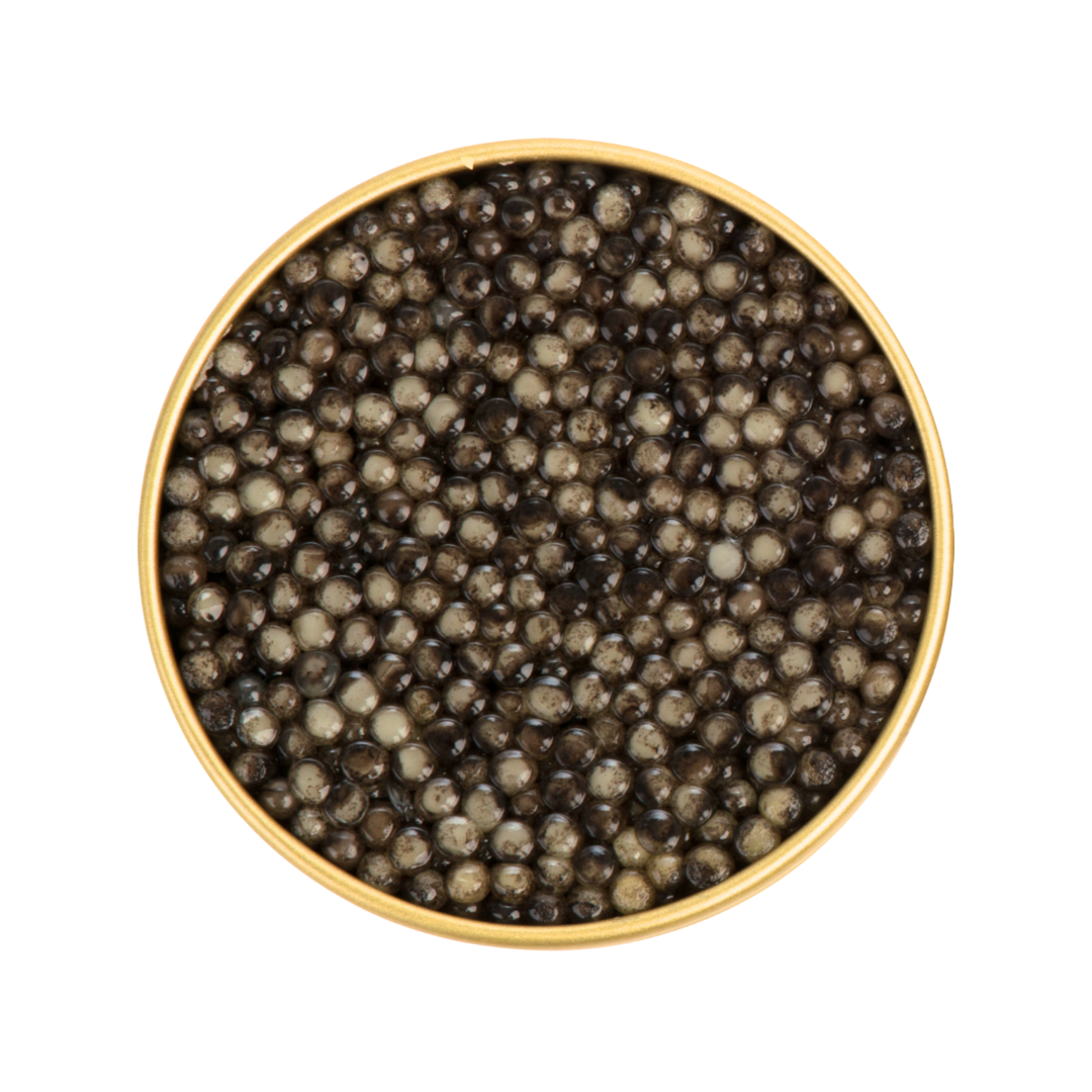 Russian Sturgeon Premium Non-Pasteurized Caviar (GLASS JAR)