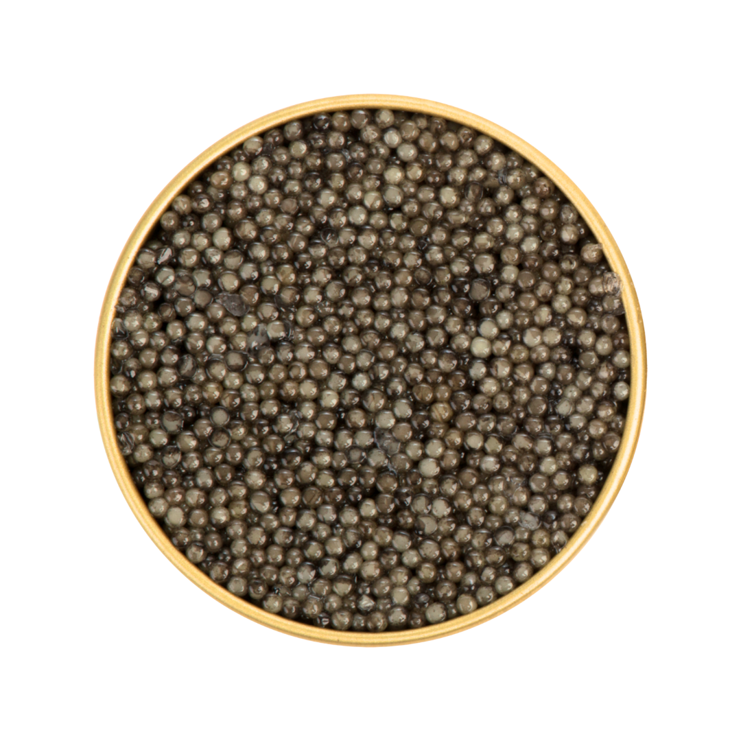Sterlet Classic Non-Pasteurized Caviar – Premium Sturgeon