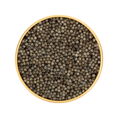 Sterlet Classic Non-Pasteurized Caviar – Premium Sturgeon